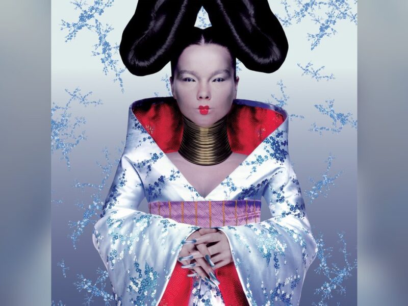Pochette de Homogenic, Björk
